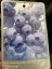 Vaccinium corymbosum - Varianty: ko2,5l velikost 30-40 mix